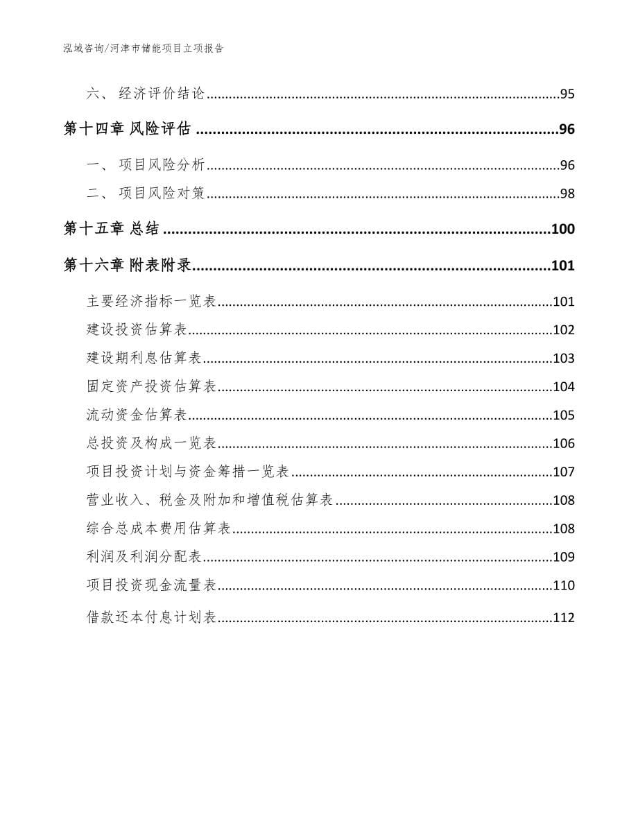 河津市储能项目立项报告【范文模板】_第5页