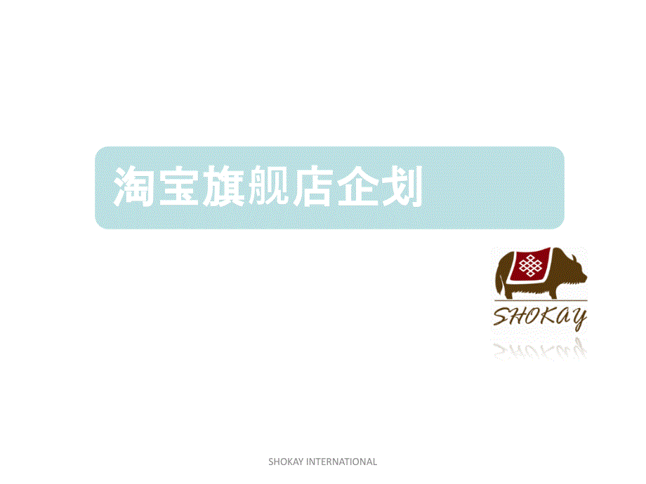淘宝旗舰店企划案(powerpoint 36页)_第1页
