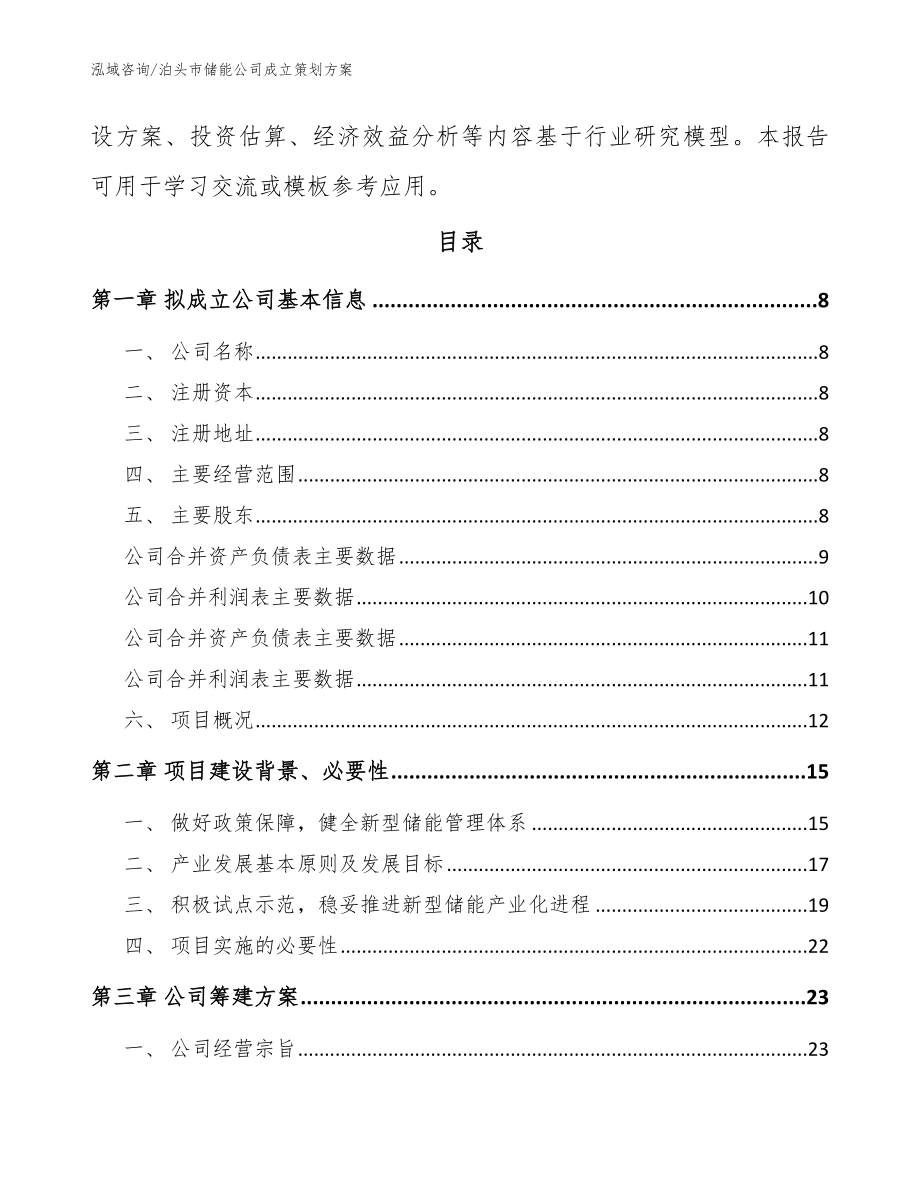 泊头市储能公司成立策划【模板范文】_第3页