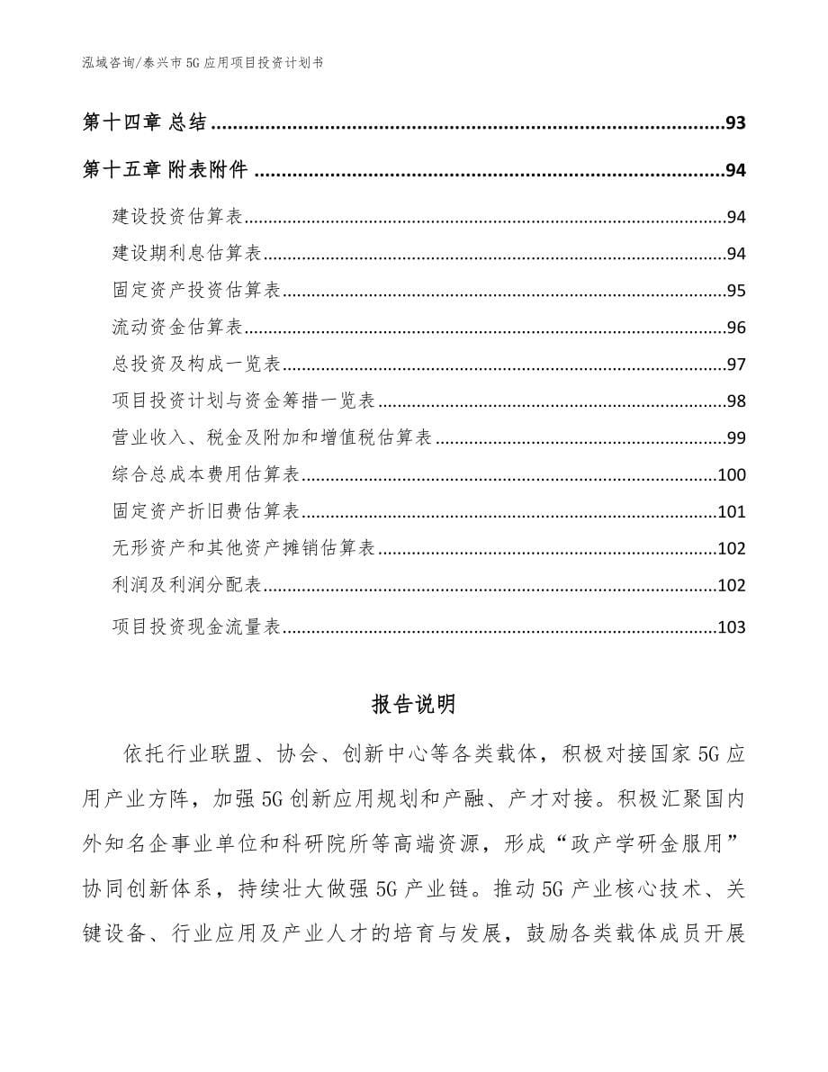 泰兴市5G应用项目投资计划书（模板范文）_第5页