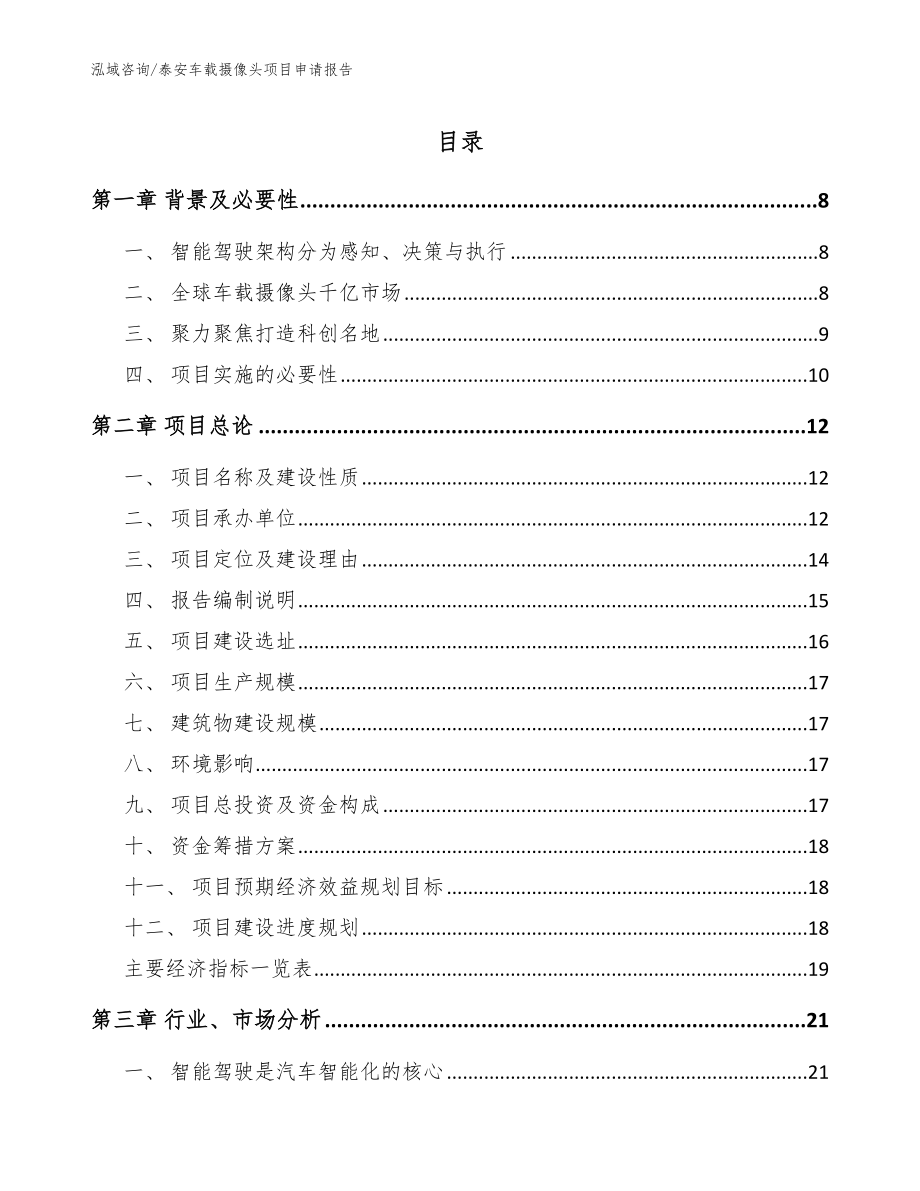 泰安车载摄像头项目申请报告_模板参考_第1页