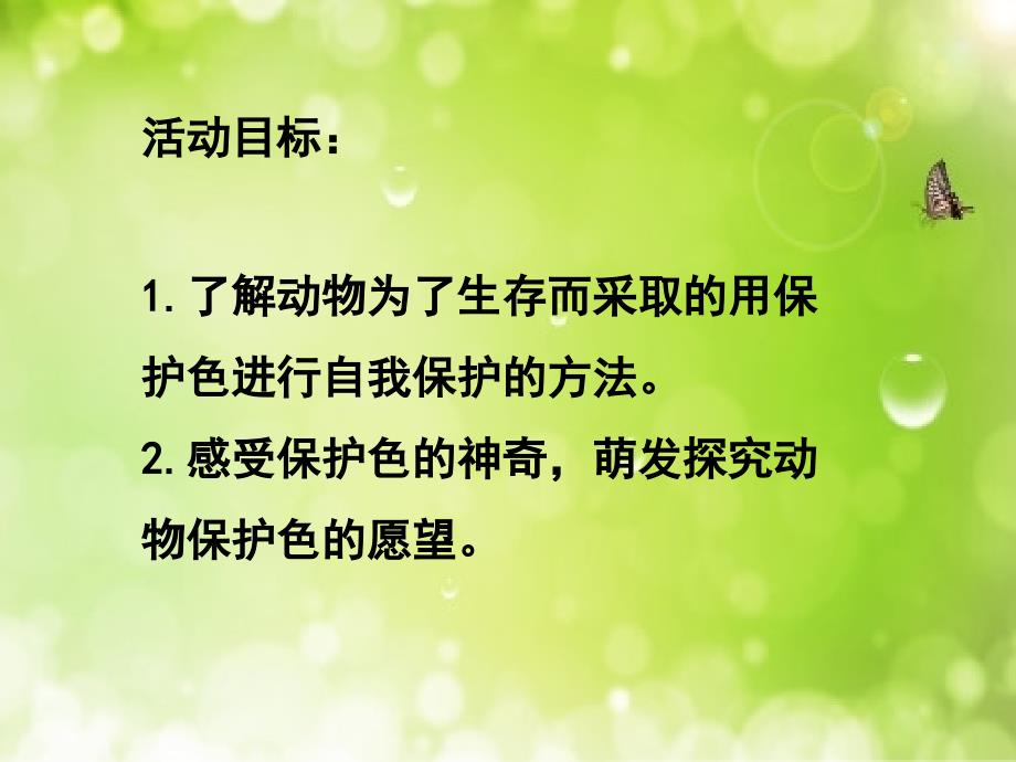 幼儿园大班动物保护色教学课件_第2页