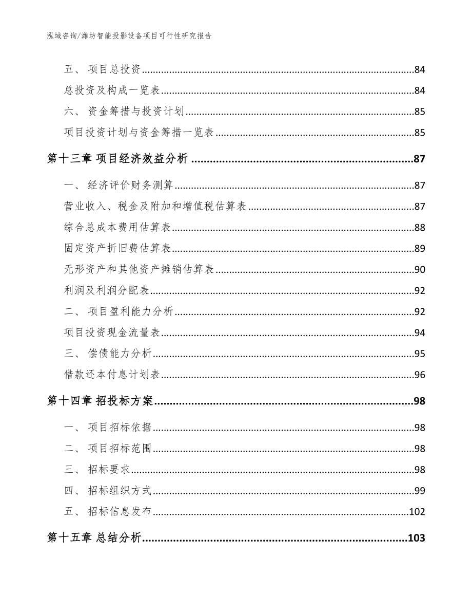 潍坊智能投影设备项目可行性研究报告（范文）_第5页