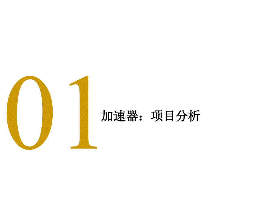 某科技园成长型企业加速器策划方案课件_第2页