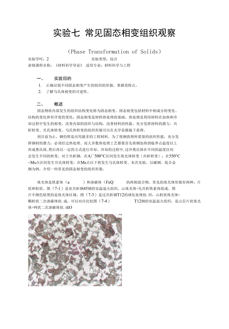 常见固态相变组织观材料科学基础 实验 07_第1页