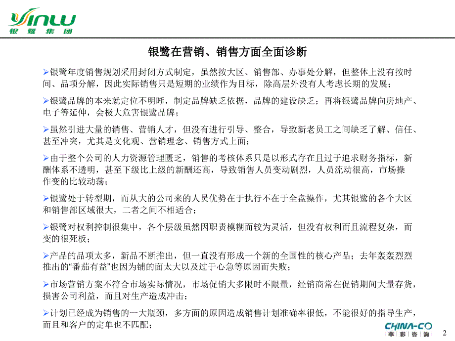 银鹭营销诊断报告书(powerpoint 43页)_第2页