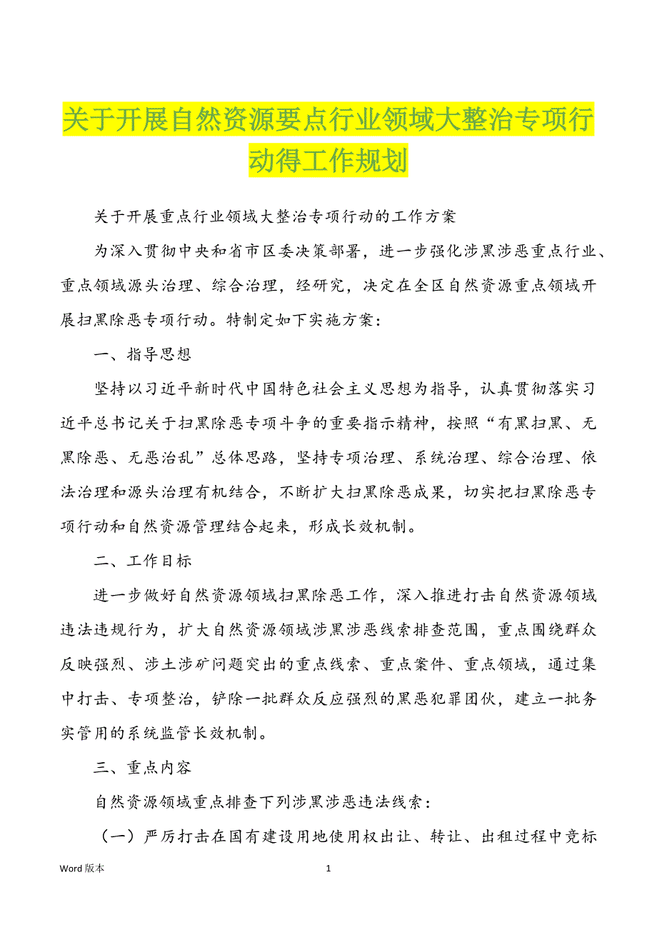 关于开展自然资源要点行业领域大整治专项行动得工作规划_第1页