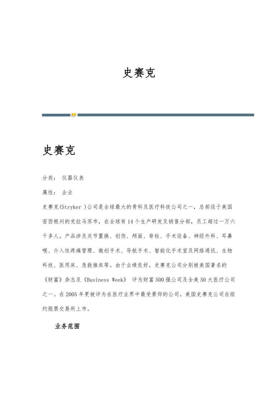 史赛克-名词详解_第1页