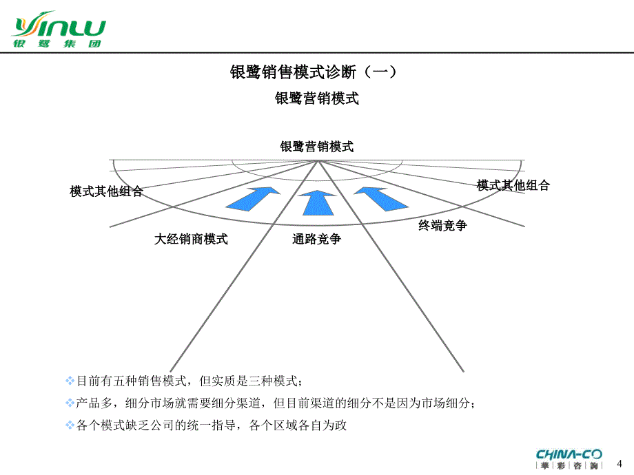 银鹭营销全面诊断报告及营销方案(powerpoint 43页)_第4页