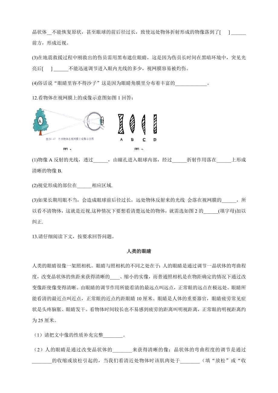 华师大八年级科学下册第3章第1节眼与视觉 第2课时 学案_第5页