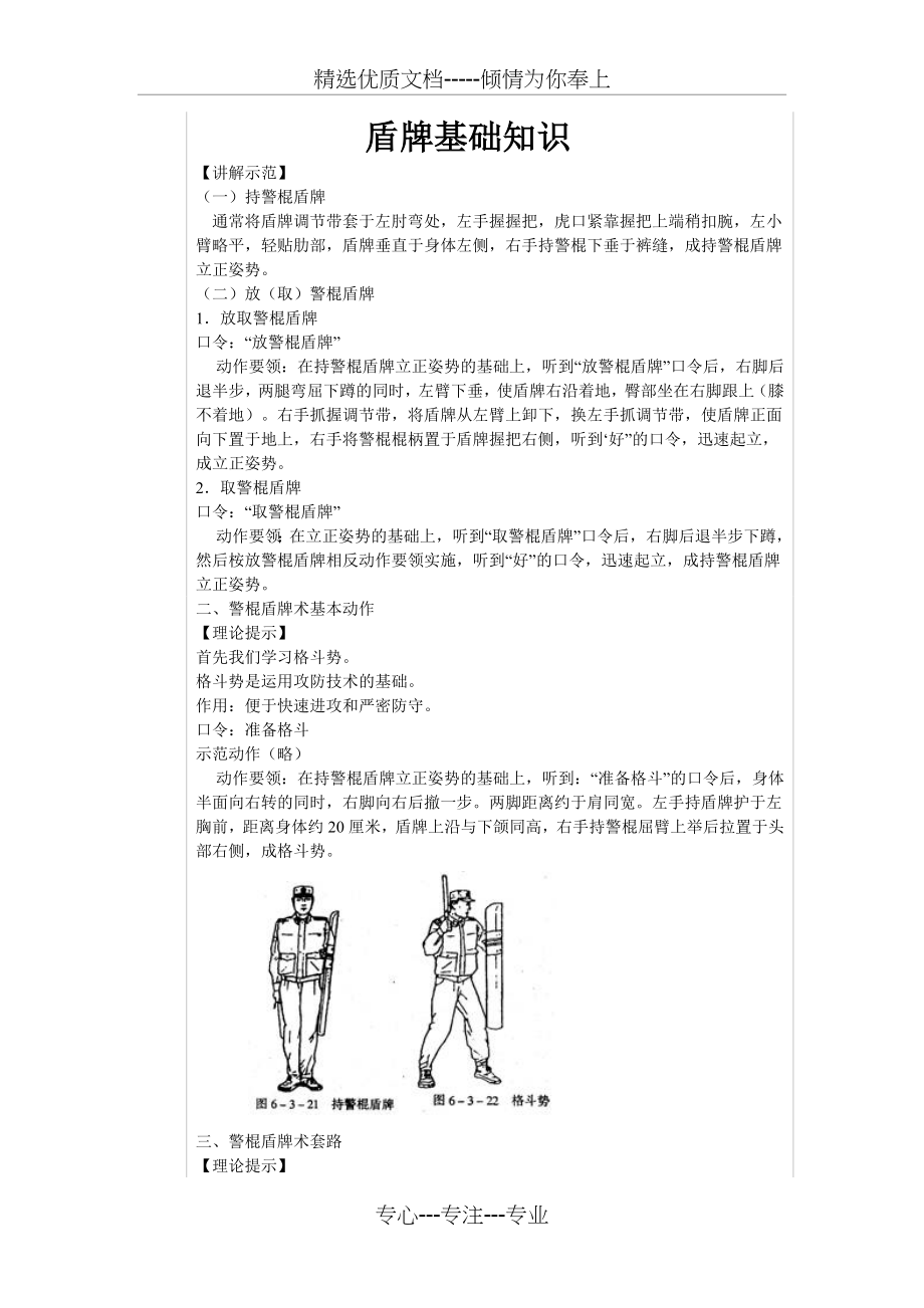 盾牌基础知识_第1页
