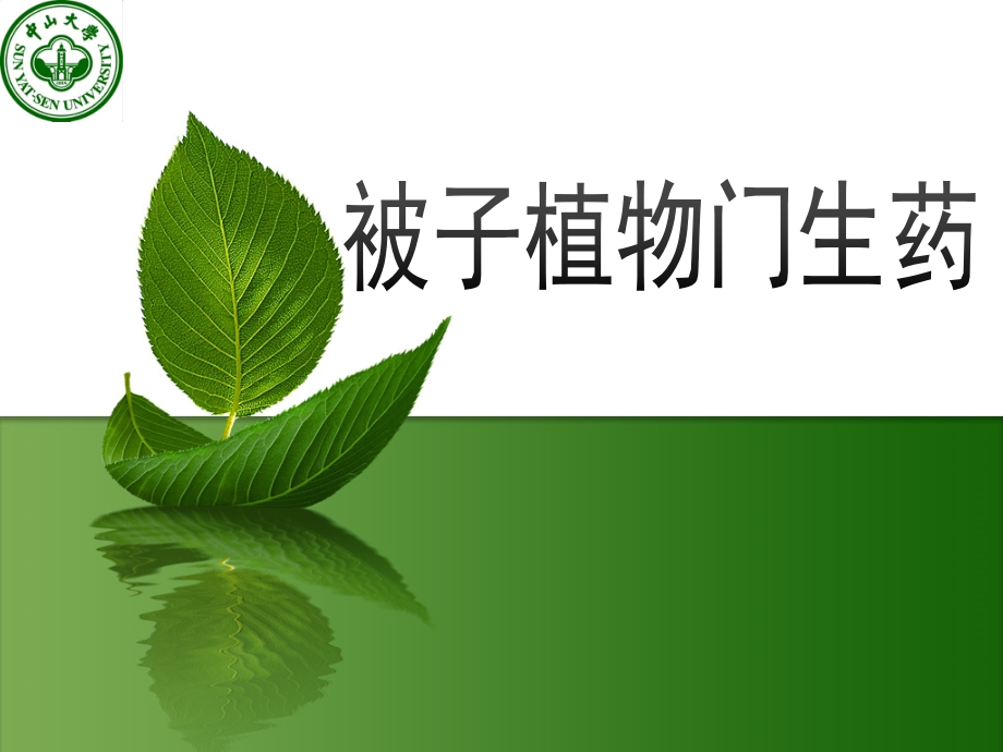 生药学：被子植物豆科课件_第1页