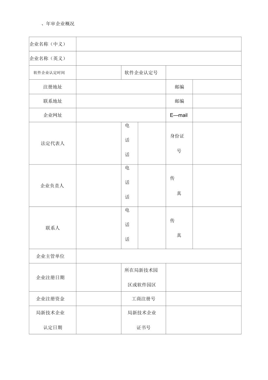 软件企业年审表_第2页