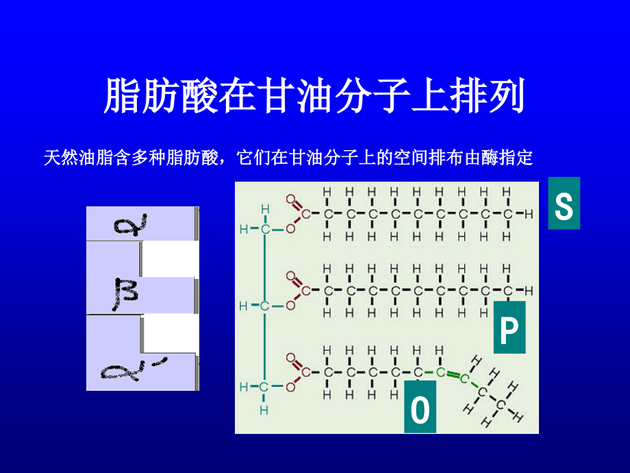 油脂的组成及理化特性课件_第4页