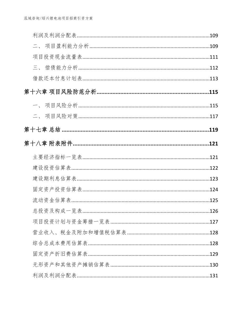 绍兴锂电池项目招商引资方案（模板范文）_第5页