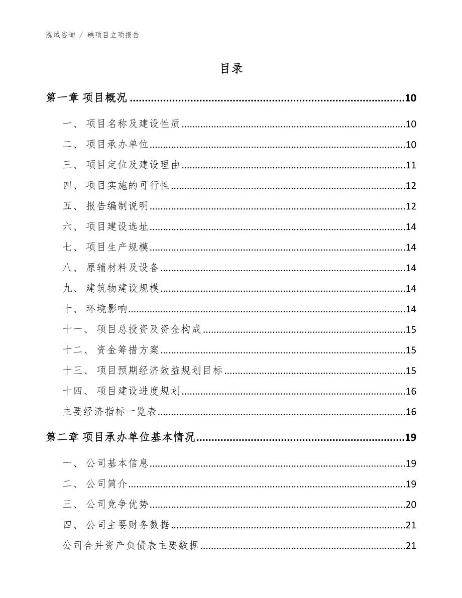 碘项目立项报告_模板_第2页