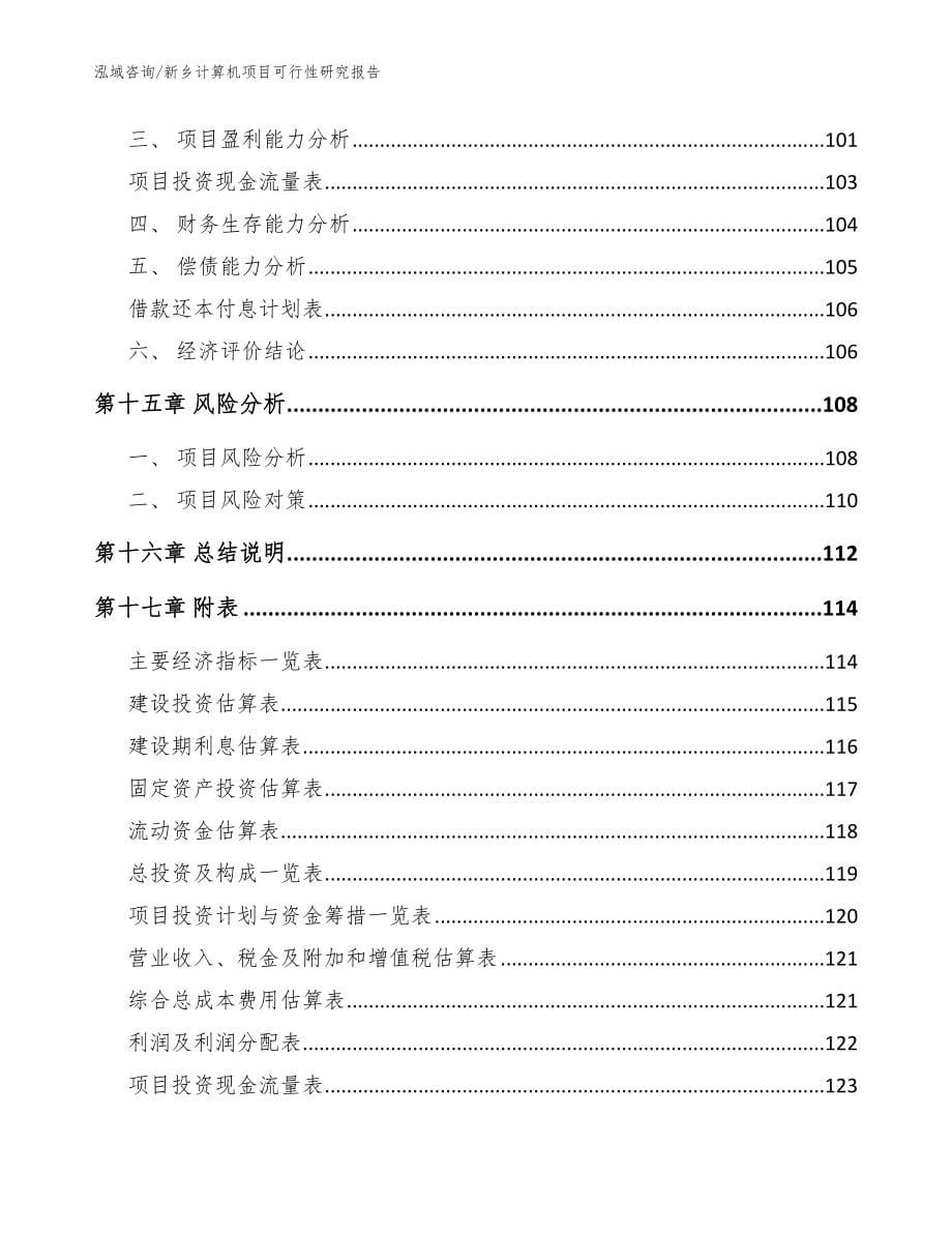 新乡计算机项目可行性研究报告_第5页