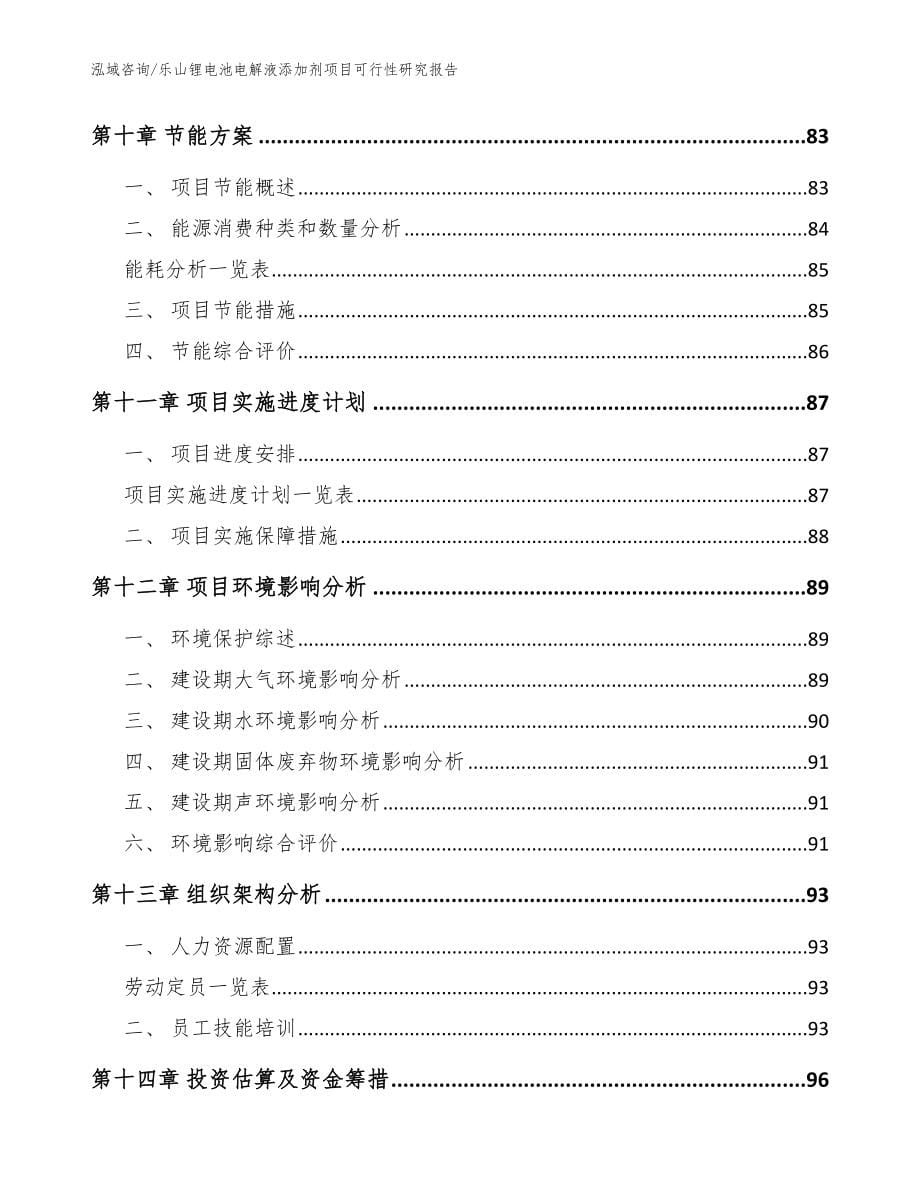 乐山锂电池电解液添加剂项目可行性研究报告_第5页