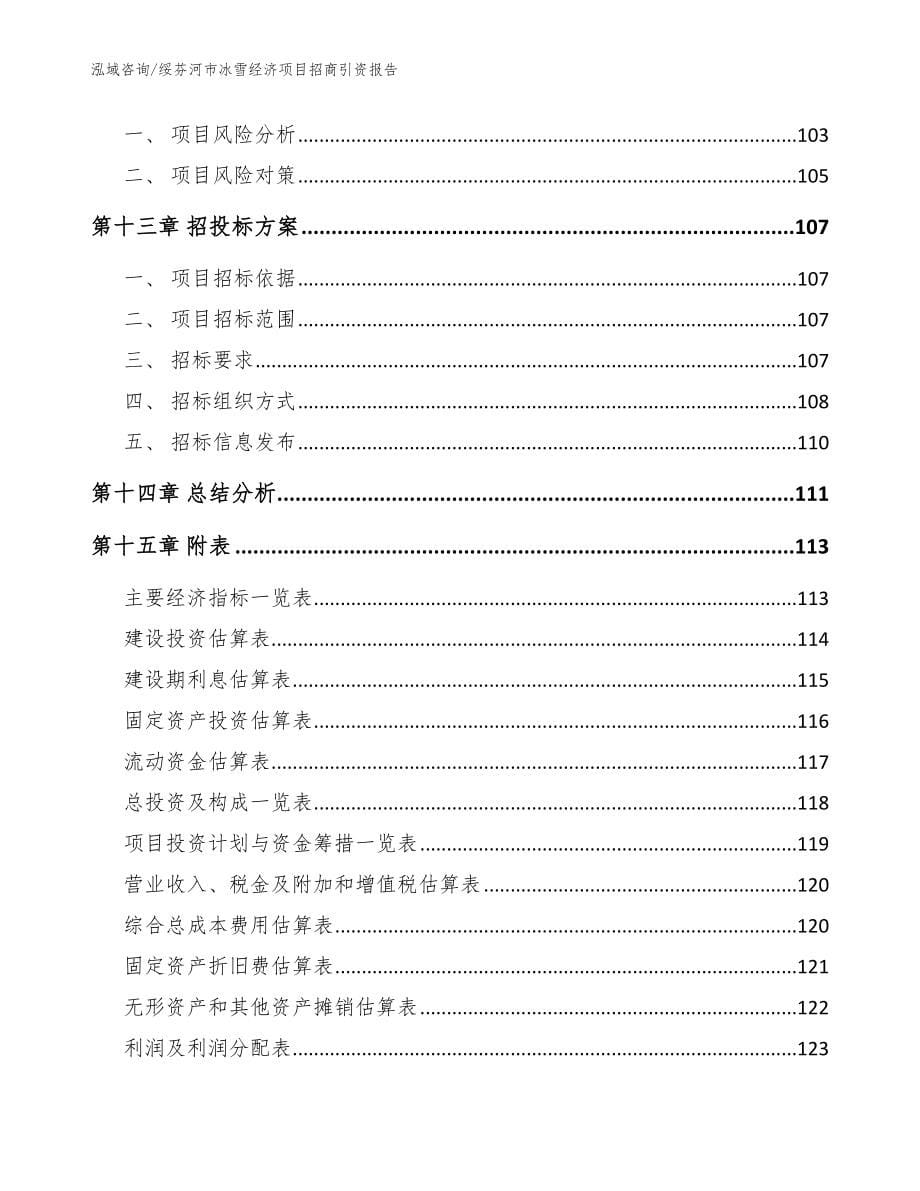 绥芬河市冰雪经济项目招商引资报告模板范本_第5页