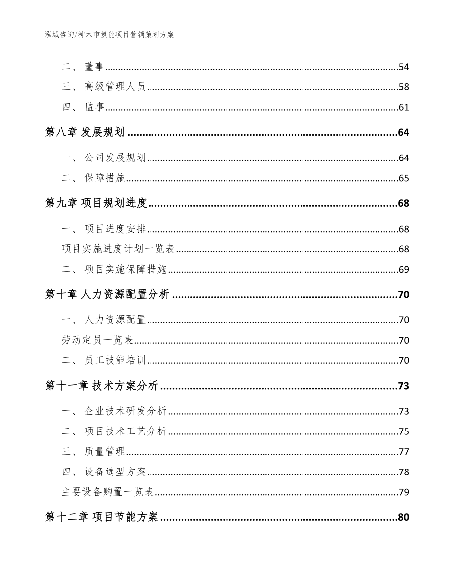 神木市氢能项目营销策划【模板】_第3页