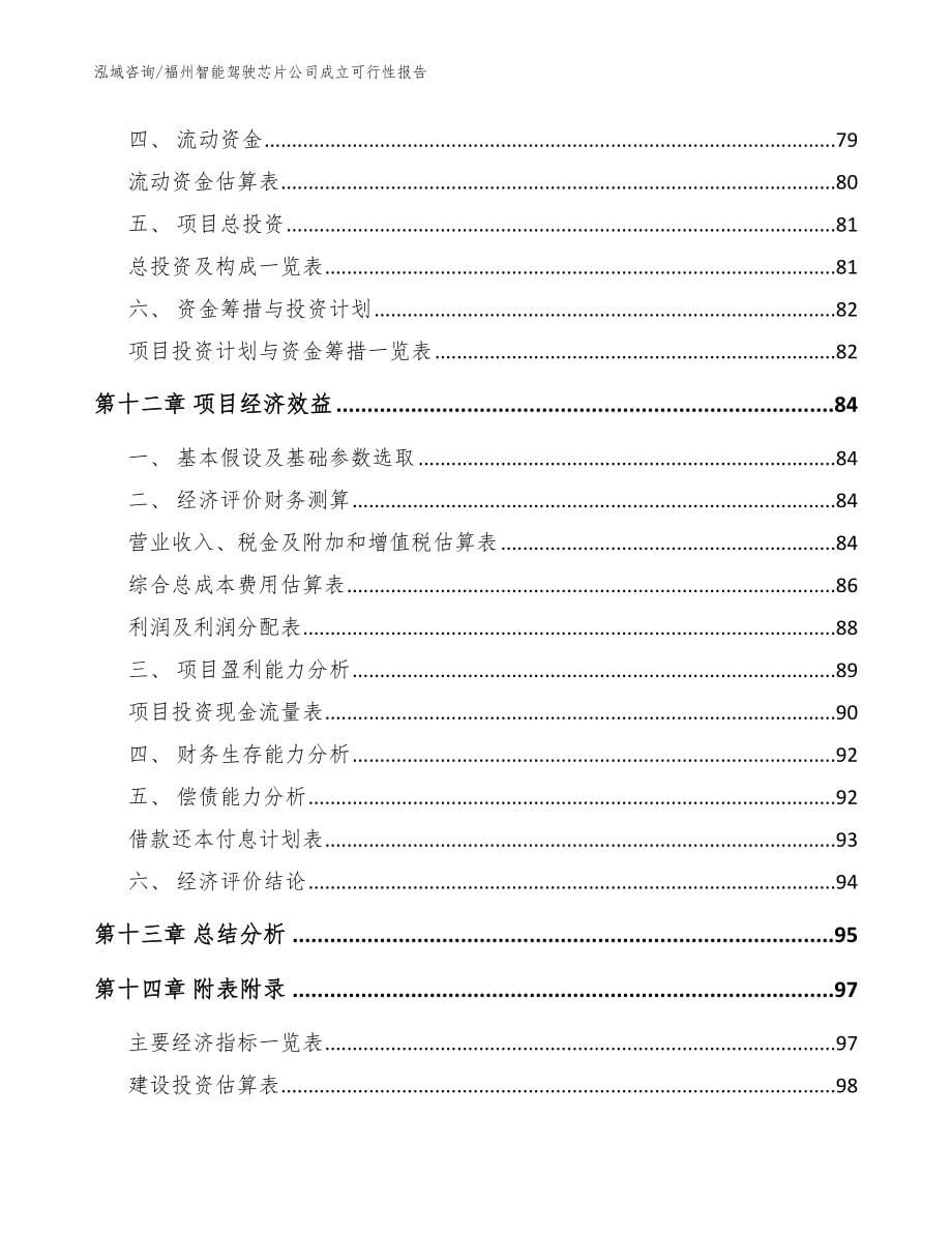 福州智能驾驶芯片公司成立可行性报告（模板）_第5页