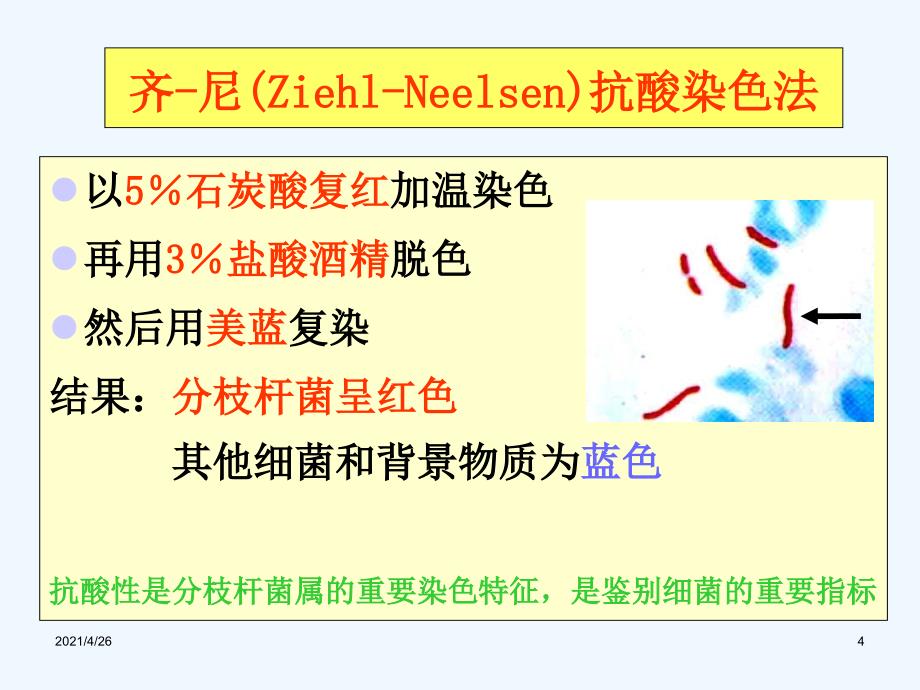 精品 结核分枝杆菌ppt医学微生物学课件_第4页