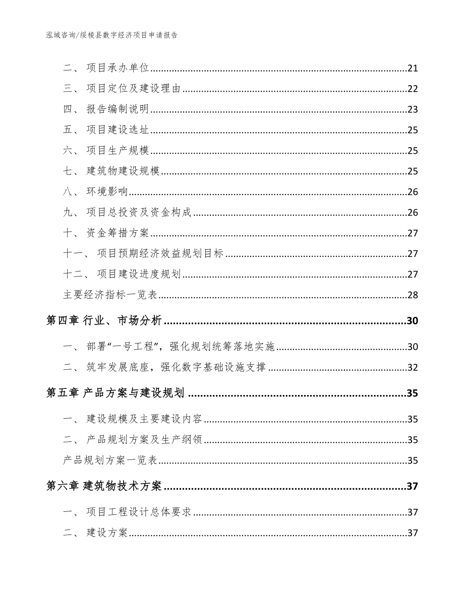 绥棱县数字经济项目申请报告（模板）_第4页