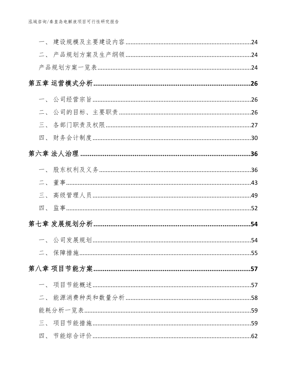 秦皇岛电解液项目可行性研究报告_范文参考_第2页