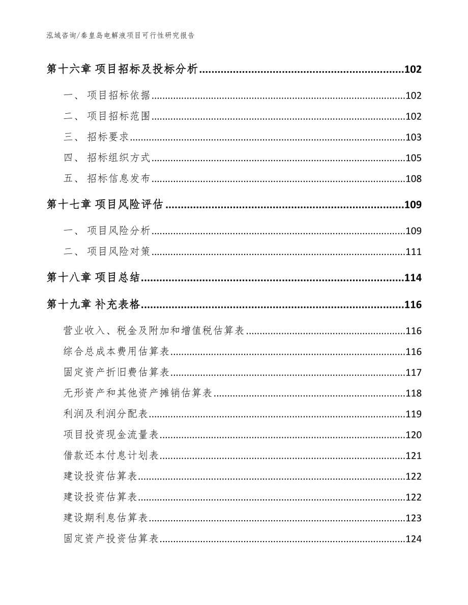 秦皇岛电解液项目可行性研究报告_范文参考_第5页