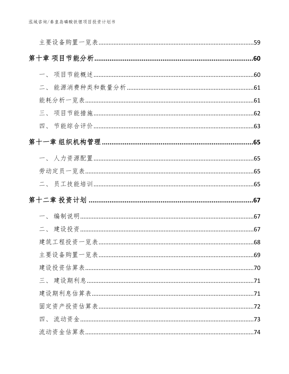 秦皇岛磷酸铁锂项目投资计划书模板范本_第3页