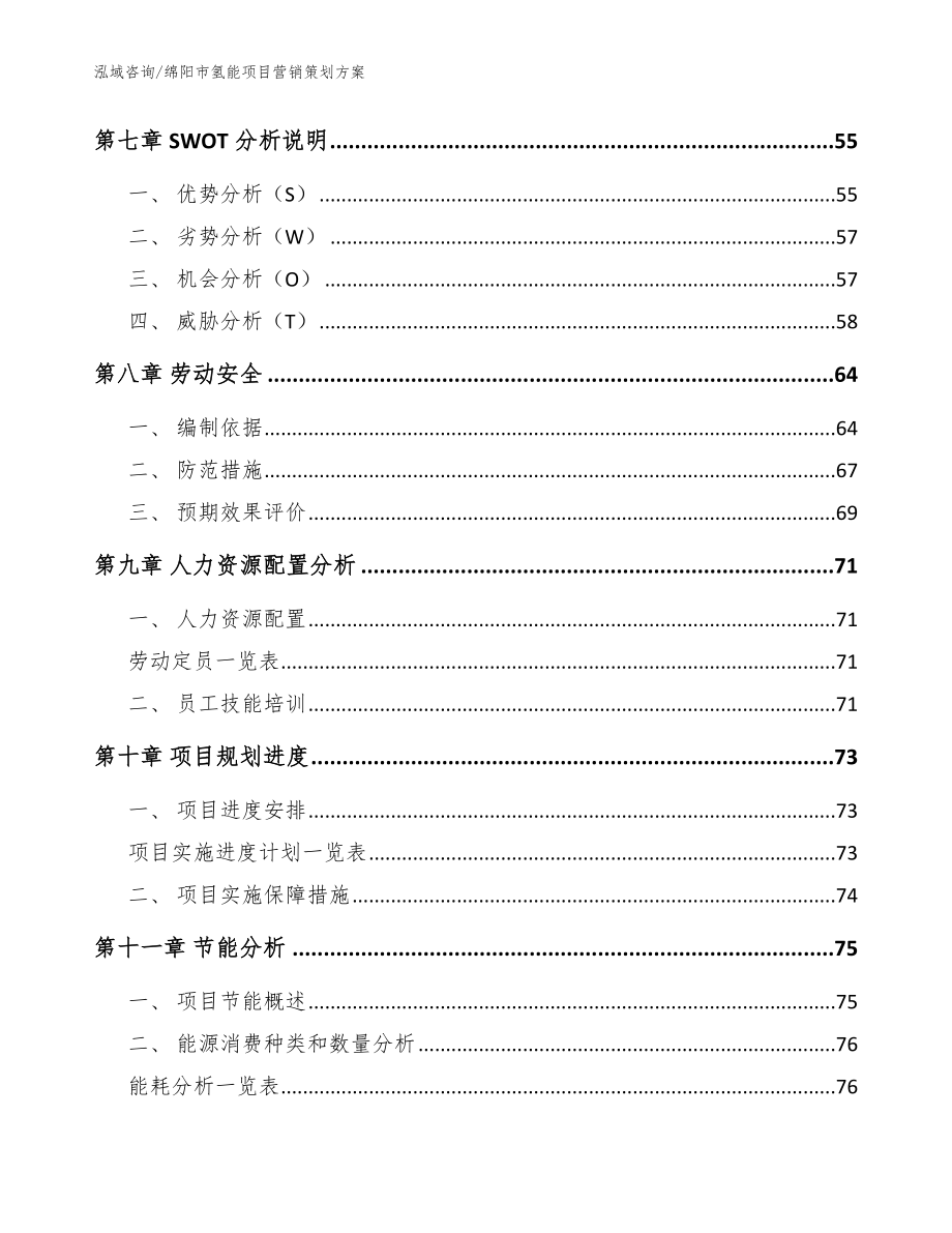 绵阳市氢能项目营销策划_模板_第4页