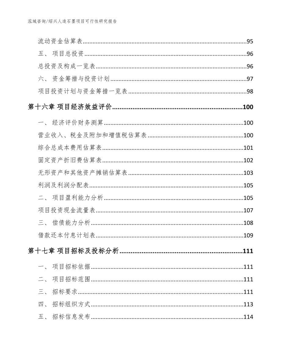 绍兴人造石墨项目可行性研究报告【模板参考】_第5页