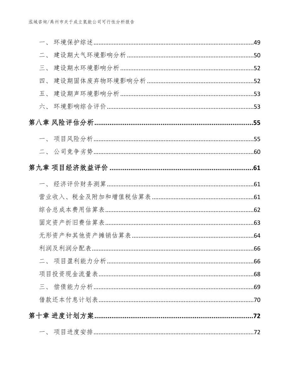 禹州市关于成立氢能公司可行性分析报告【参考模板】_第5页