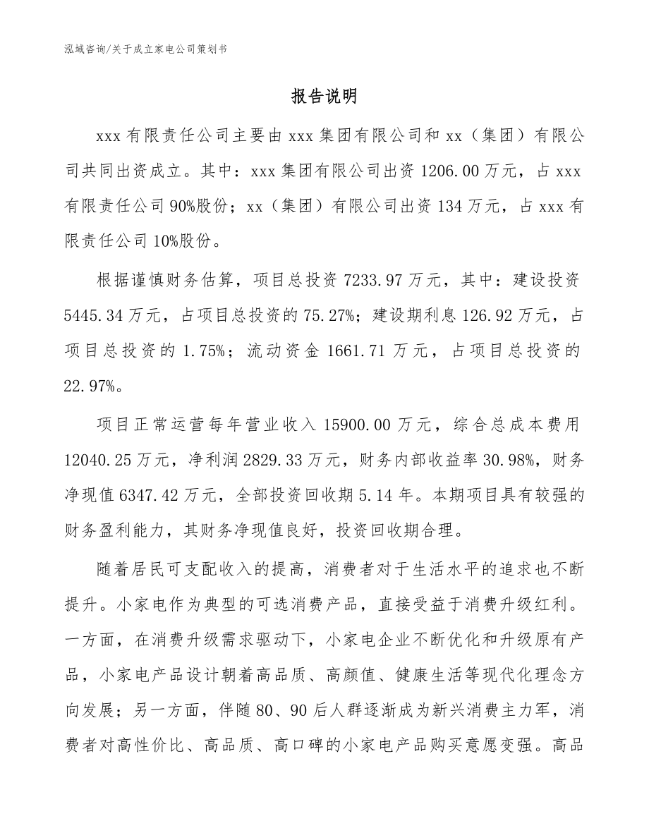 关于成立家电公司策划书模板范文_第2页