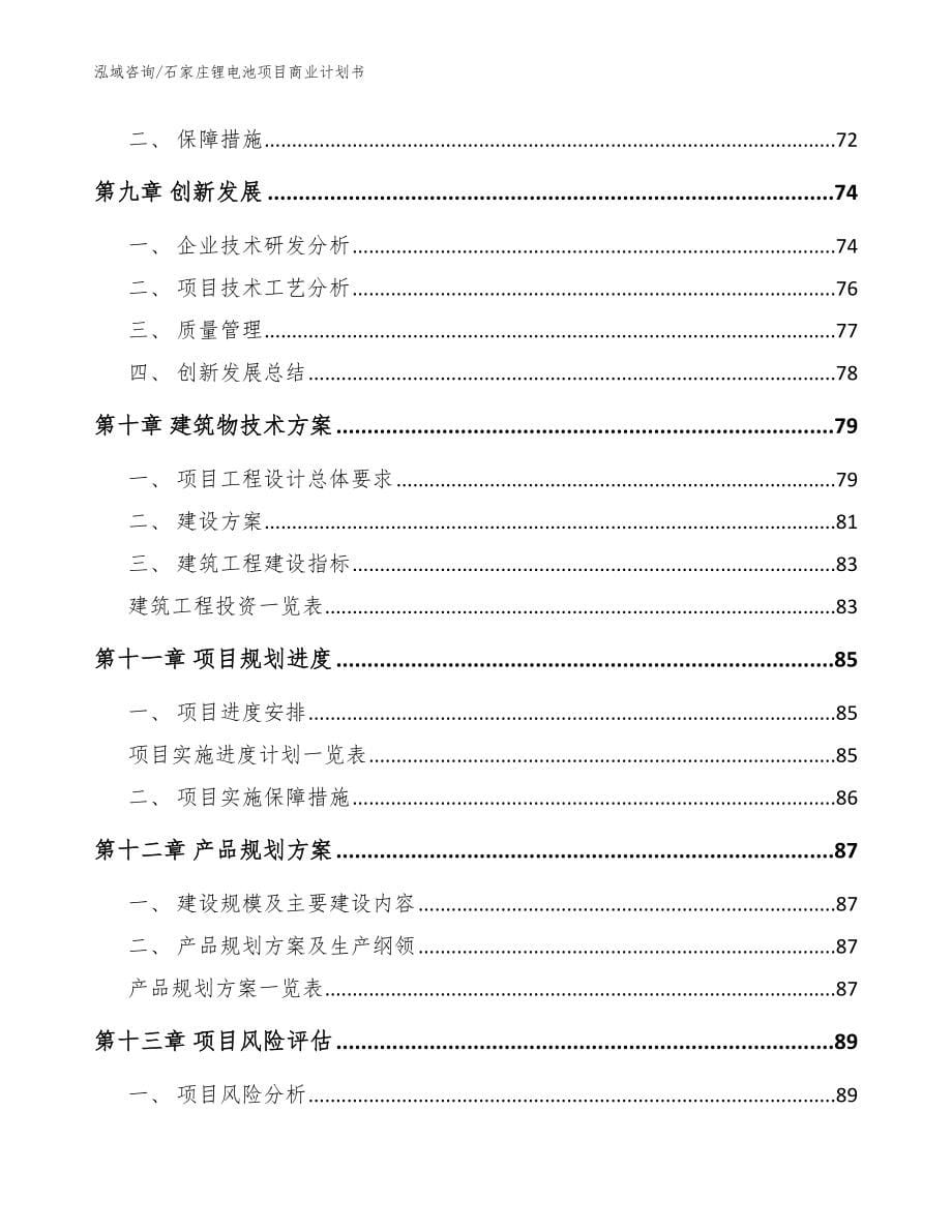 石家庄锂电池项目商业计划书（模板参考）_第5页