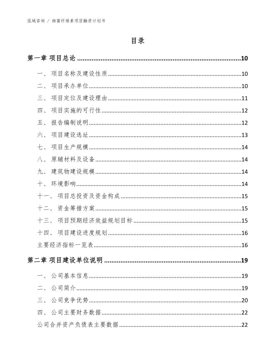 细菌纤维素项目融资计划书（范文参考）_第4页