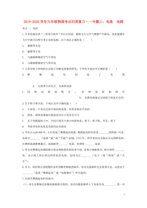 2019-2020学年九年级物理考点归类复习 专题三 电流 电路练习（含解析）