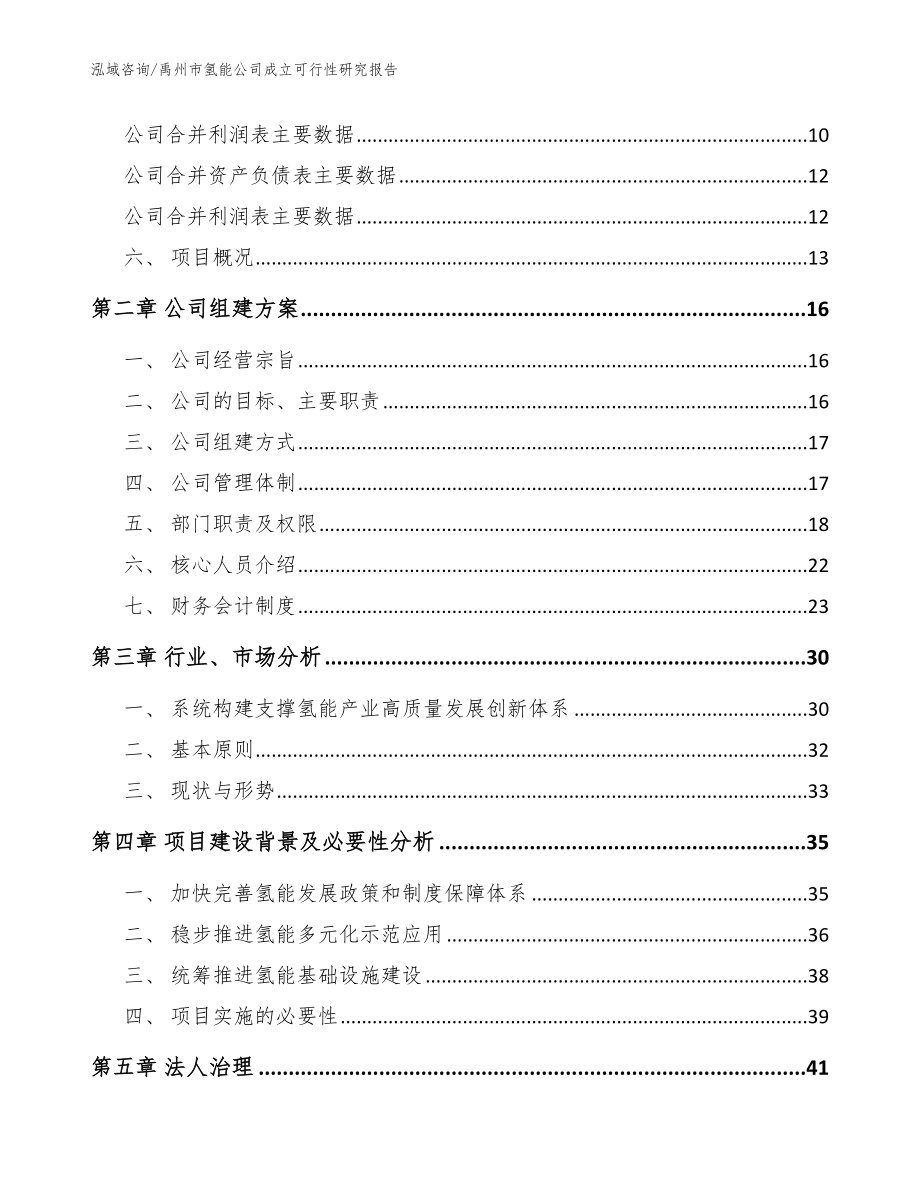 禹州市氢能公司成立可行性研究报告模板_第4页