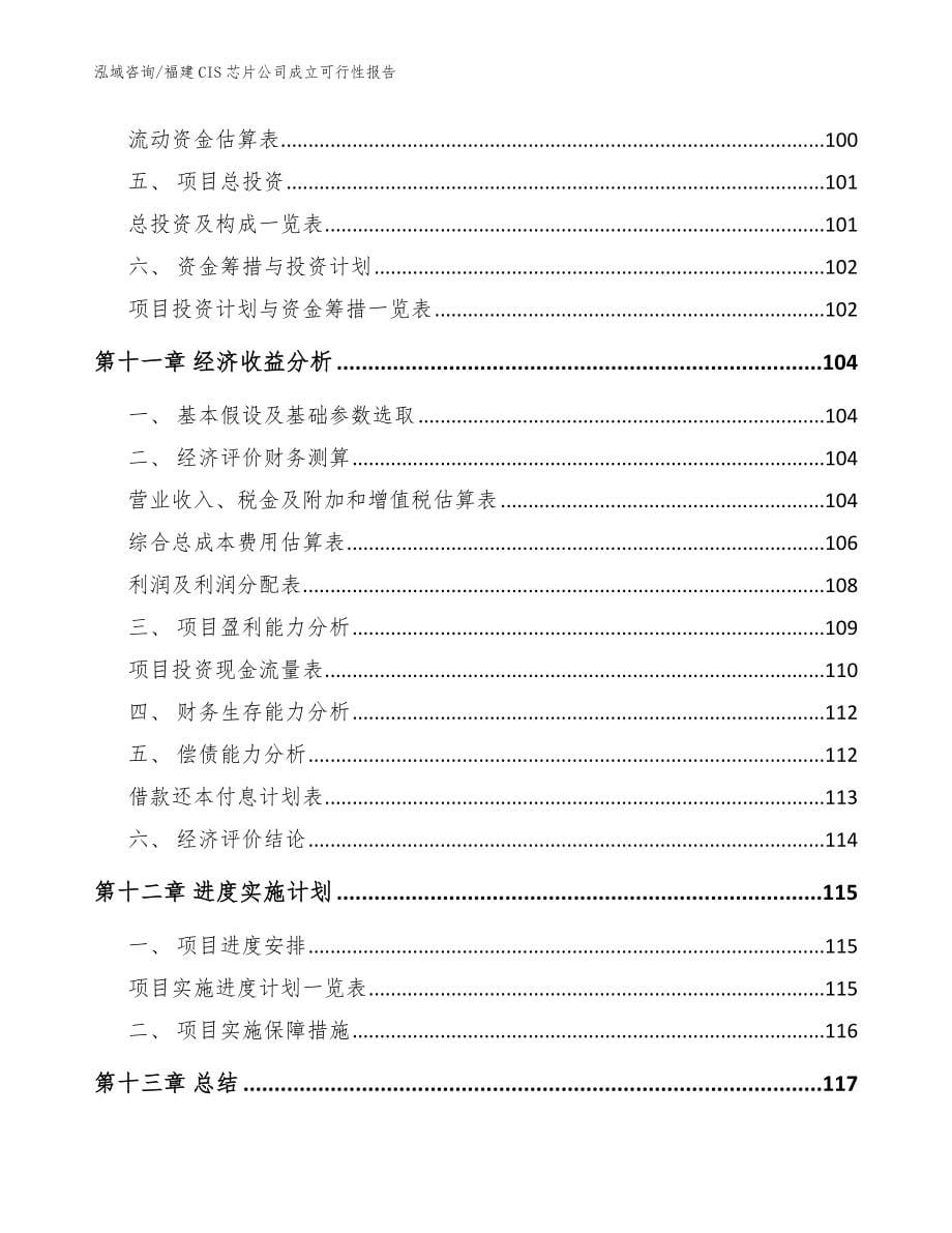 福建CIS芯片公司成立可行性报告【模板范文】_第5页