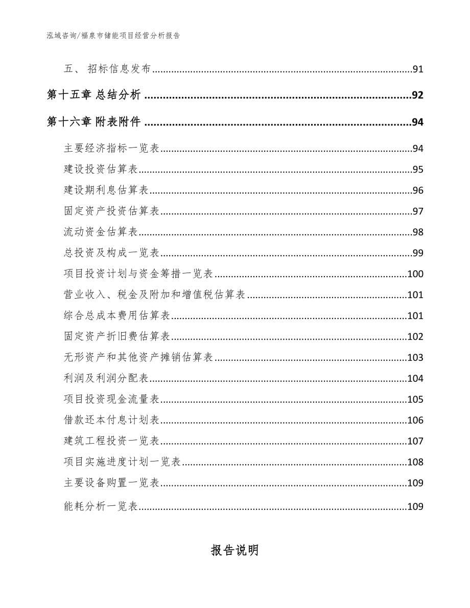 福泉市储能项目经营分析报告范文模板_第5页