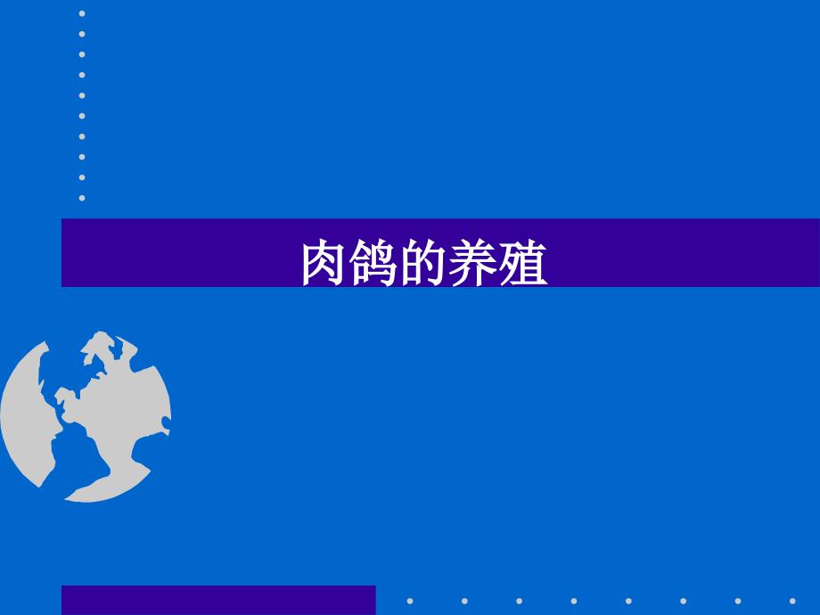 肉鸽的养殖项目概述(powerpoint 47页)_第1页