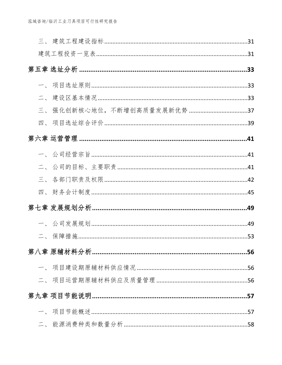 临沂工业刀具项目可行性研究报告（范文模板）_第2页