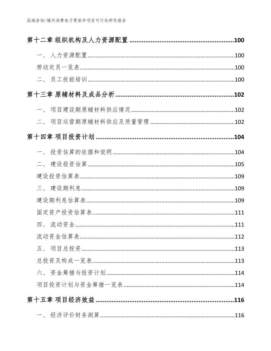 福州消费电子零部件项目可行性研究报告模板范本_第5页