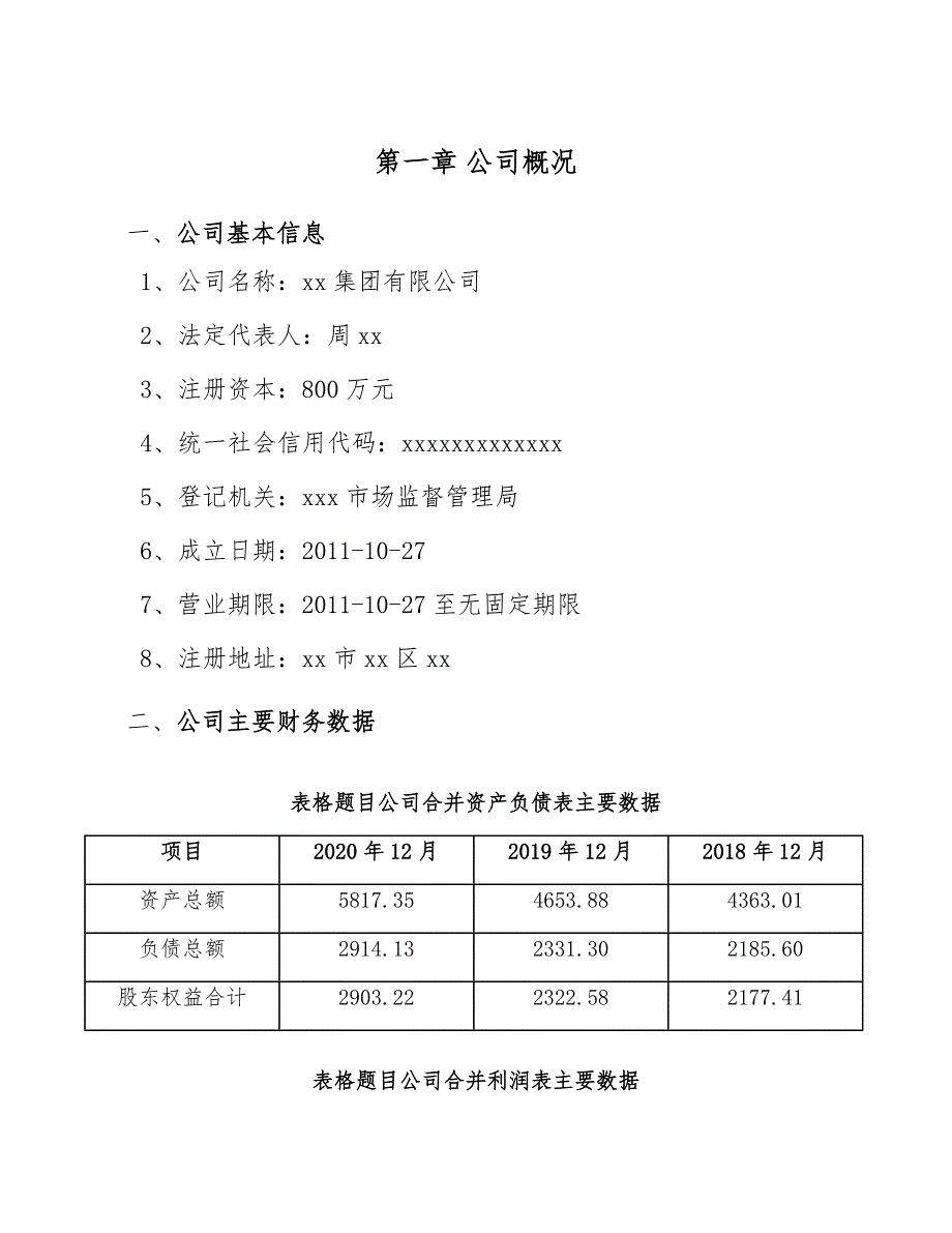 服装机械设备公司企业战略目标决策_第4页