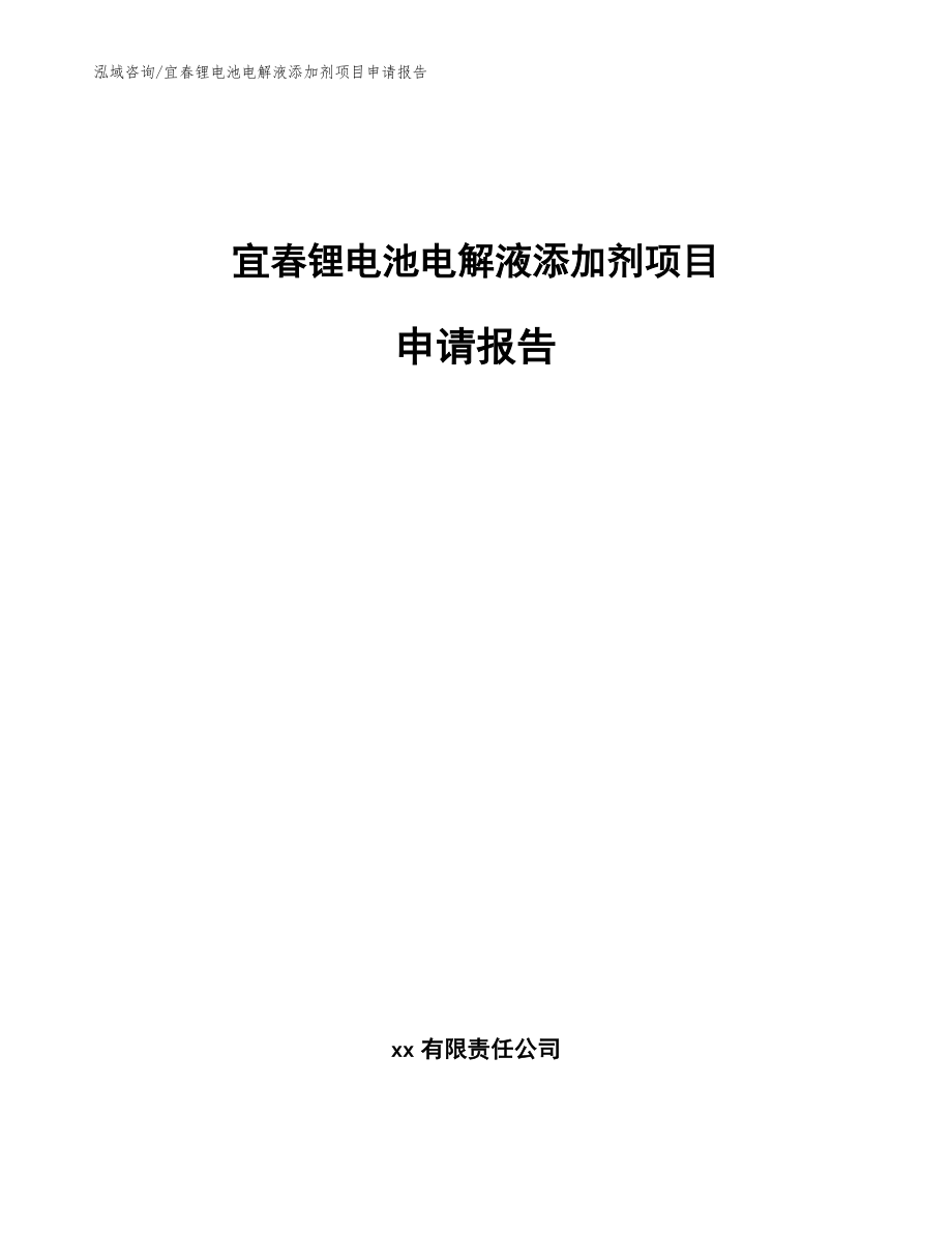 宜春锂电池电解液添加剂项目申请报告范文_第1页