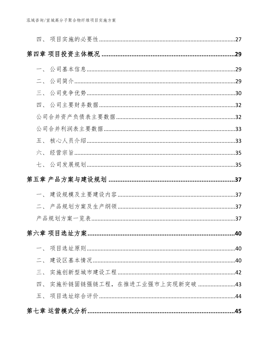 宣城高分子聚合物纤维项目实施方案（参考模板）_第2页