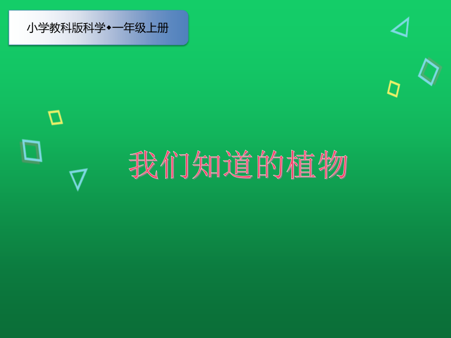 最新教科版小学一年级上册科学全册优质PPT课件_第2页