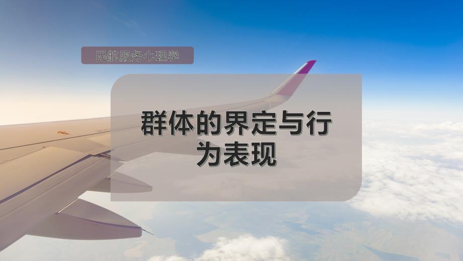 群体的界定与行为表现课件_第1页
