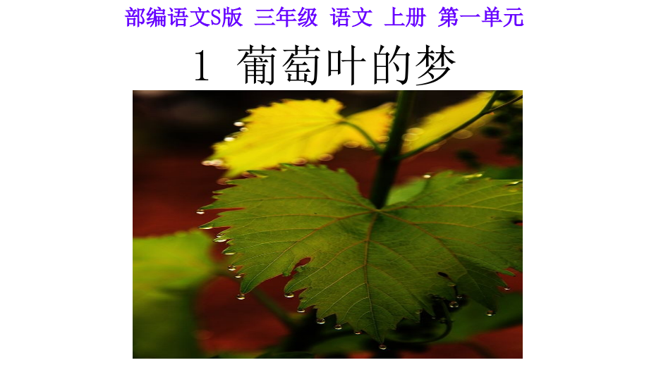 新部编语文S版三年级语文上1葡萄叶的梦ppt教学课件_第1页