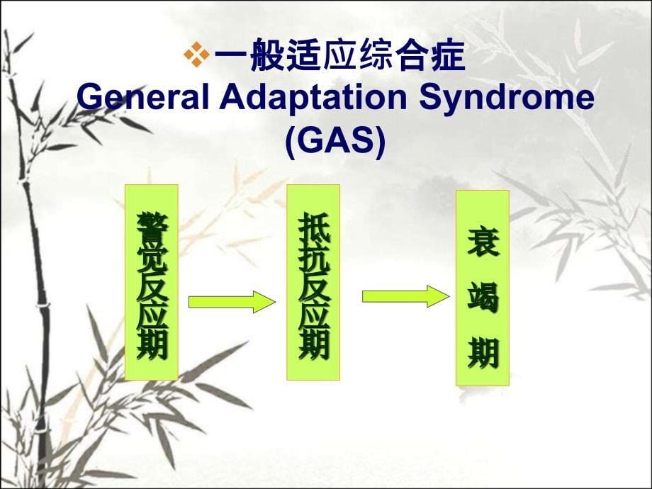 心理应激-医生班-PPT课件_第5页